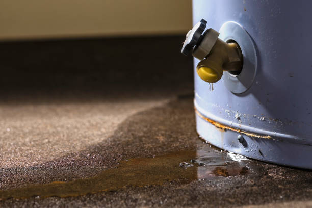 Best Fire Damage Restoration  in Jackson, OH
