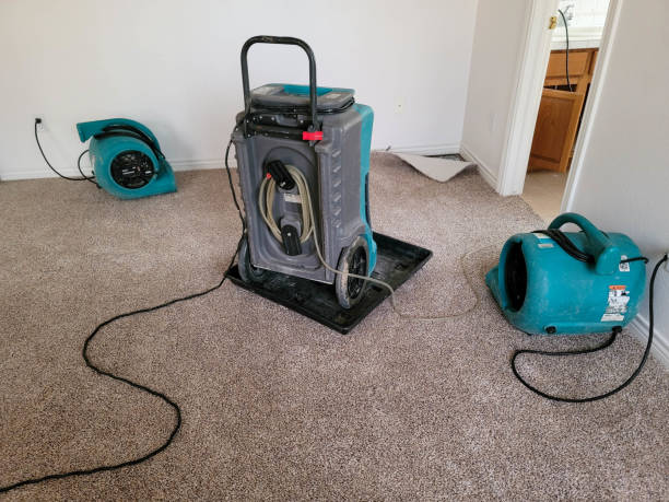 Best 24-hour water damage restoration  in Jackson, OH