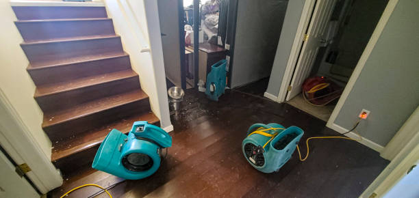 Best Professional water damage repair  in Jackson, OH