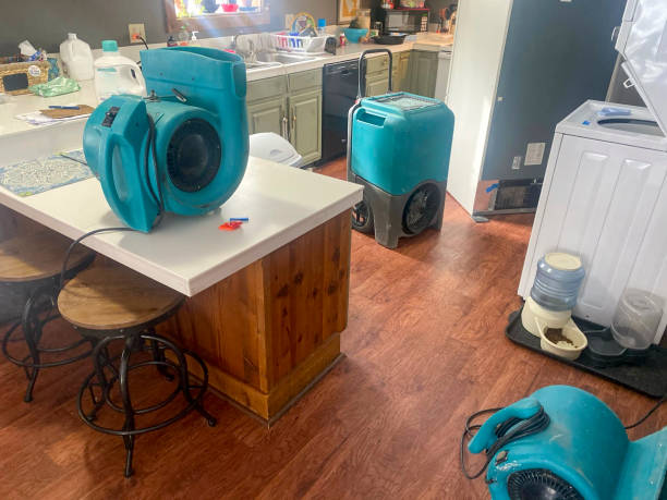 Best Basement water damage restoration  in Jackson, OH