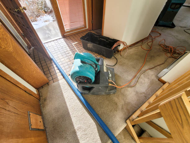 Best Flood damage cleanup  in Jackson, OH