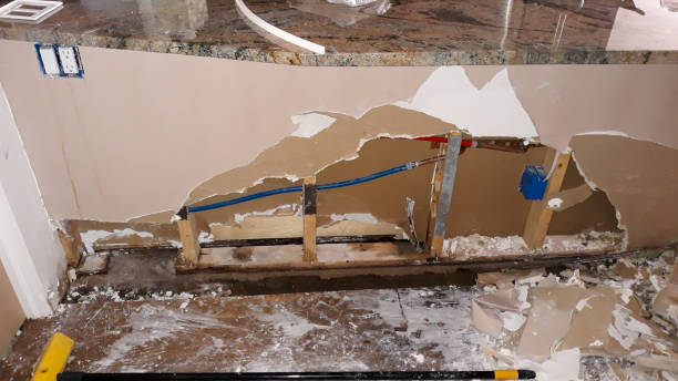 Best Basement water damage restoration  in Jackson, OH