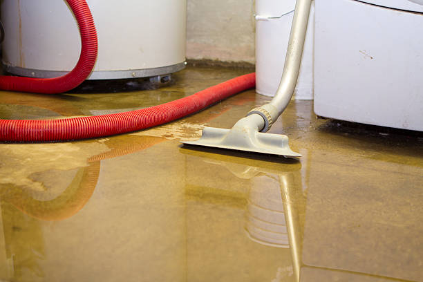 Best Emergency water extraction  in Jackson, OH