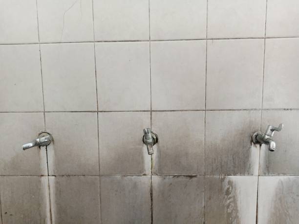 Best 24-hour water damage restoration  in Jackson, OH