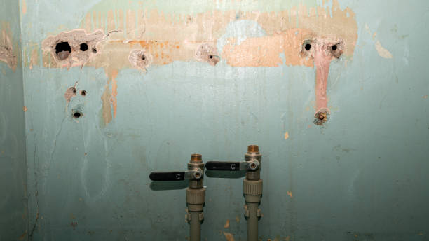 Best Carpet water damage restoration  in Jackson, OH
