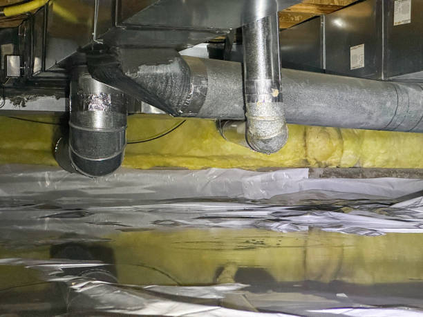 Best Flood damage cleanup  in Jackson, OH