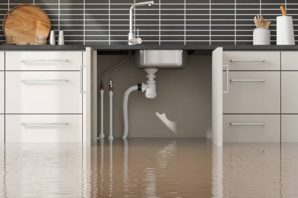 Best Flood restoration services  in Jackson, OH