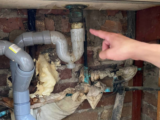 Best Water damage cleanup near me  in Jackson, OH