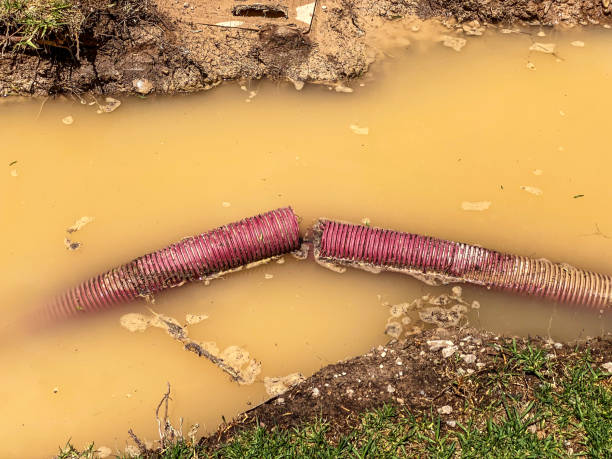 Best Mold removal after water damage  in Jackson, OH