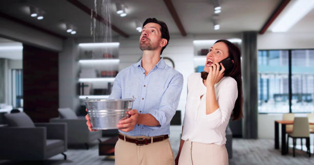 Best Flood restoration services  in Jackson, OH