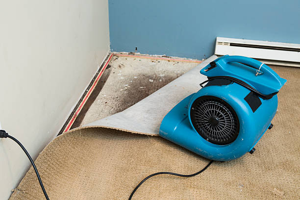 Best Emergency water damage restoration  in Jackson, OH